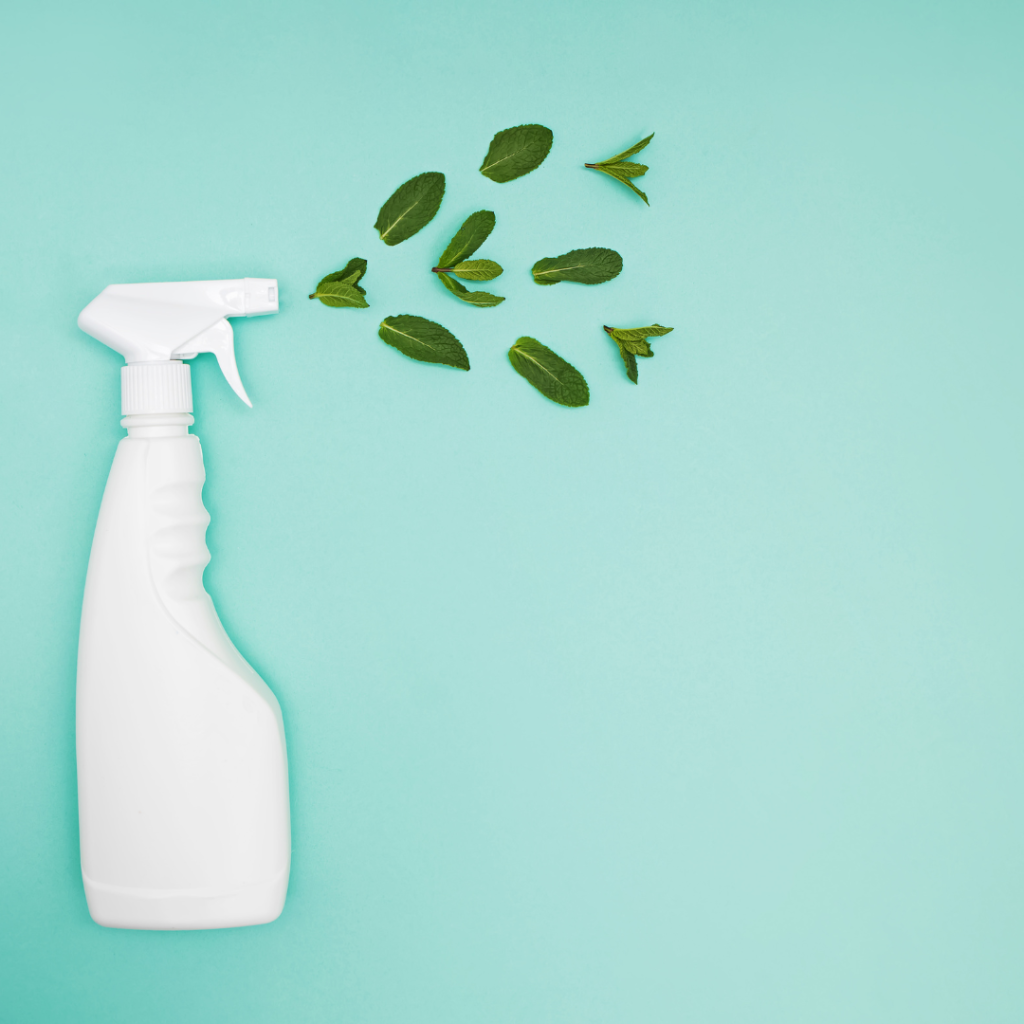eco friendly cleaning products
